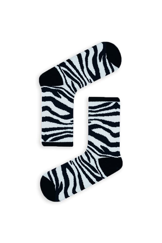 1zebra.jpg