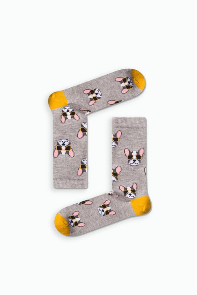 1dogglasses.jpg